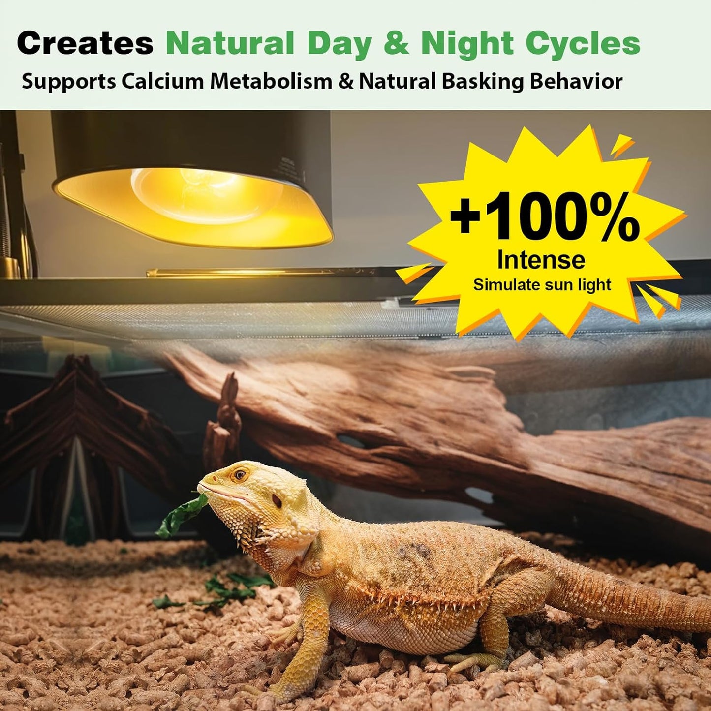 Repti Zoo 100W self ballasted mercury vapor bulb showing the standard Edison screw base