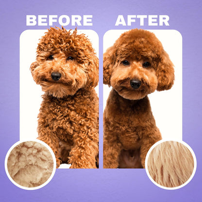 Back label view showing the sulfate free and paraben free sensitive skin dog formula.