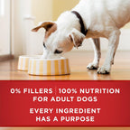 Purina ONE tender cuts in gravy nutritional facts and feeding guide