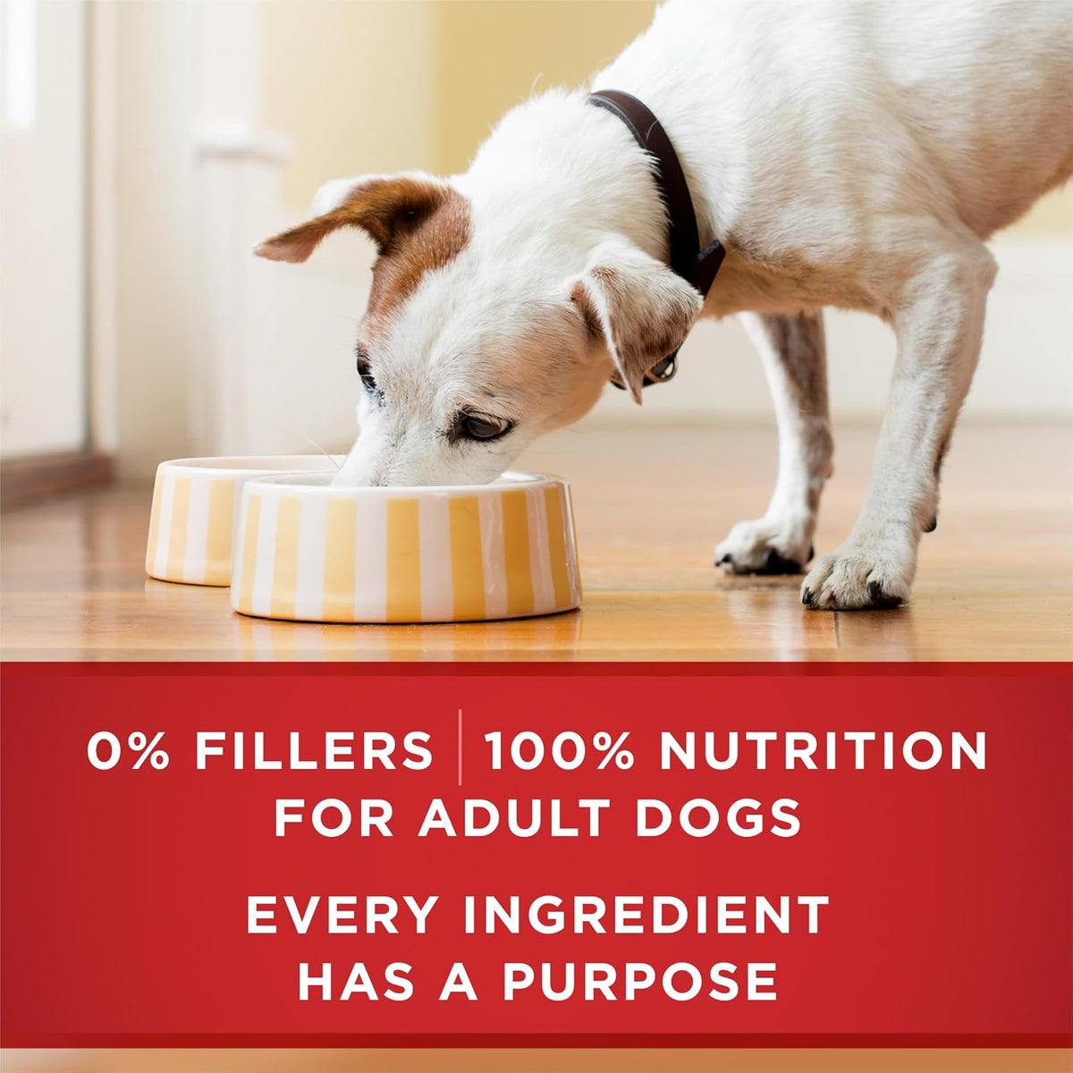 Purina ONE tender cuts in gravy nutritional facts and feeding guide