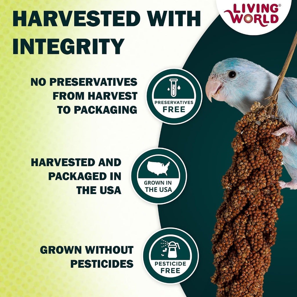 Living World millet spray for birds hanging in cage