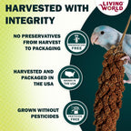 Living World millet spray for birds hanging in cage