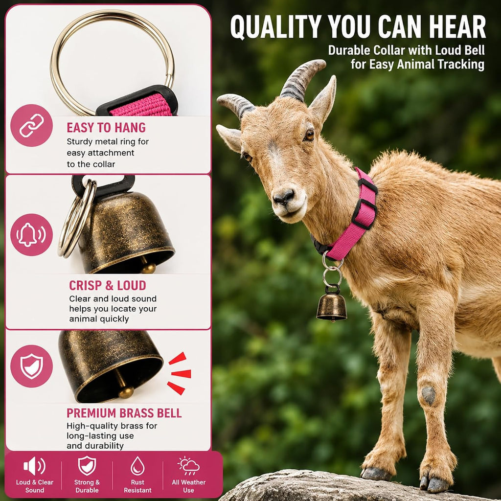 Three assorted bright color variations of the livestock collar set