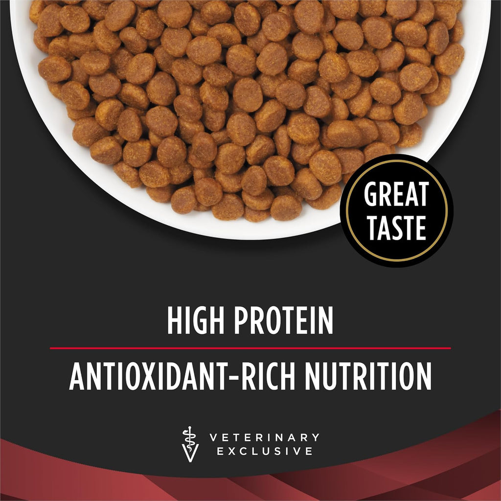 Guaranteed analysis and feeding guide details on the ten pound pet food packaging.