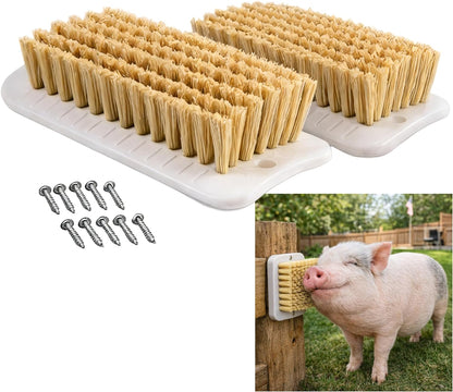 Generic pig scratch brush front view showing durable white bristles for mini pig grooming.