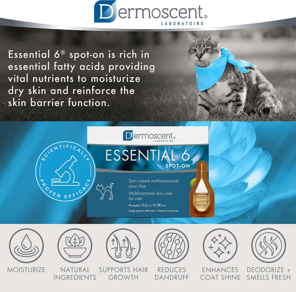 Bayer Dermoscent Essential 6 Spot On Skin Care for Cats Pet Itch Remedies - Image 9