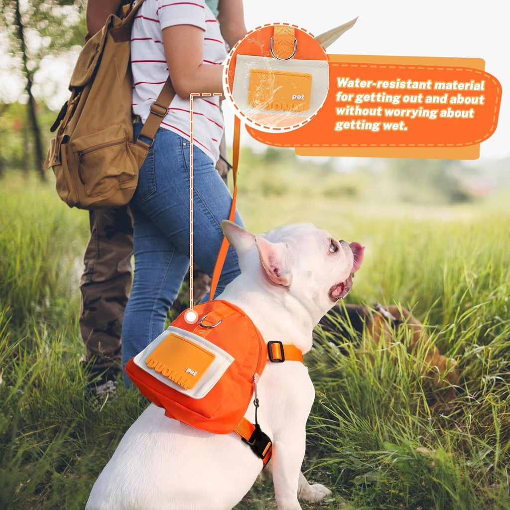 Bagentry premium pet hiking backpack packaging and full seven piece image set view