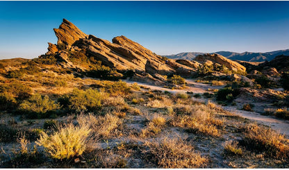 Reptile Habitat Background Sunset Desert Terrarium Background Towering Saguaro Cacti Silhouetted Against Sky Rugged Terrain Vibrant Desert Colors Landscape Tank Backdrop Vinyl 48x18in - Image 12