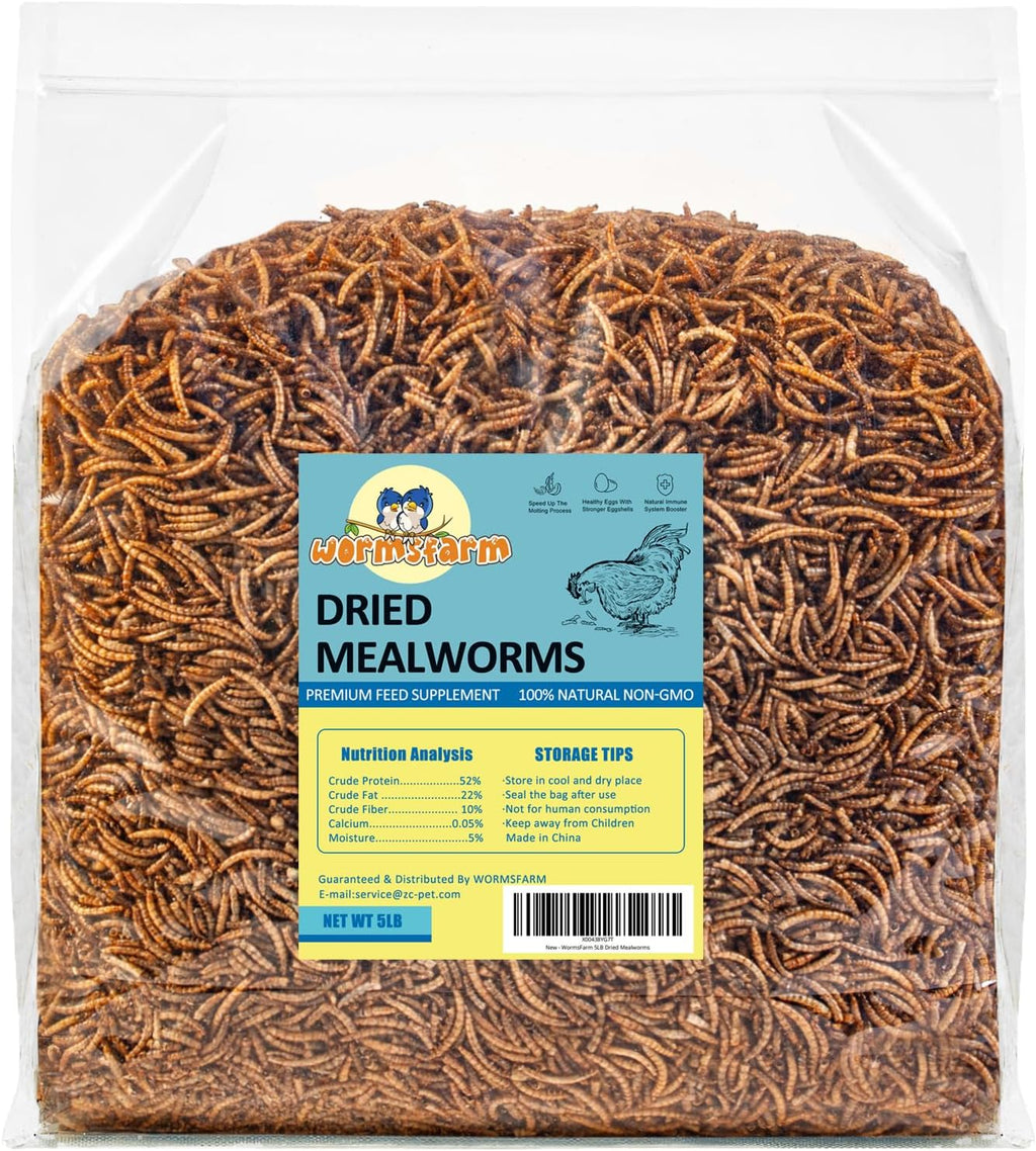 WormsFarm 10lb mealworms container size comparison