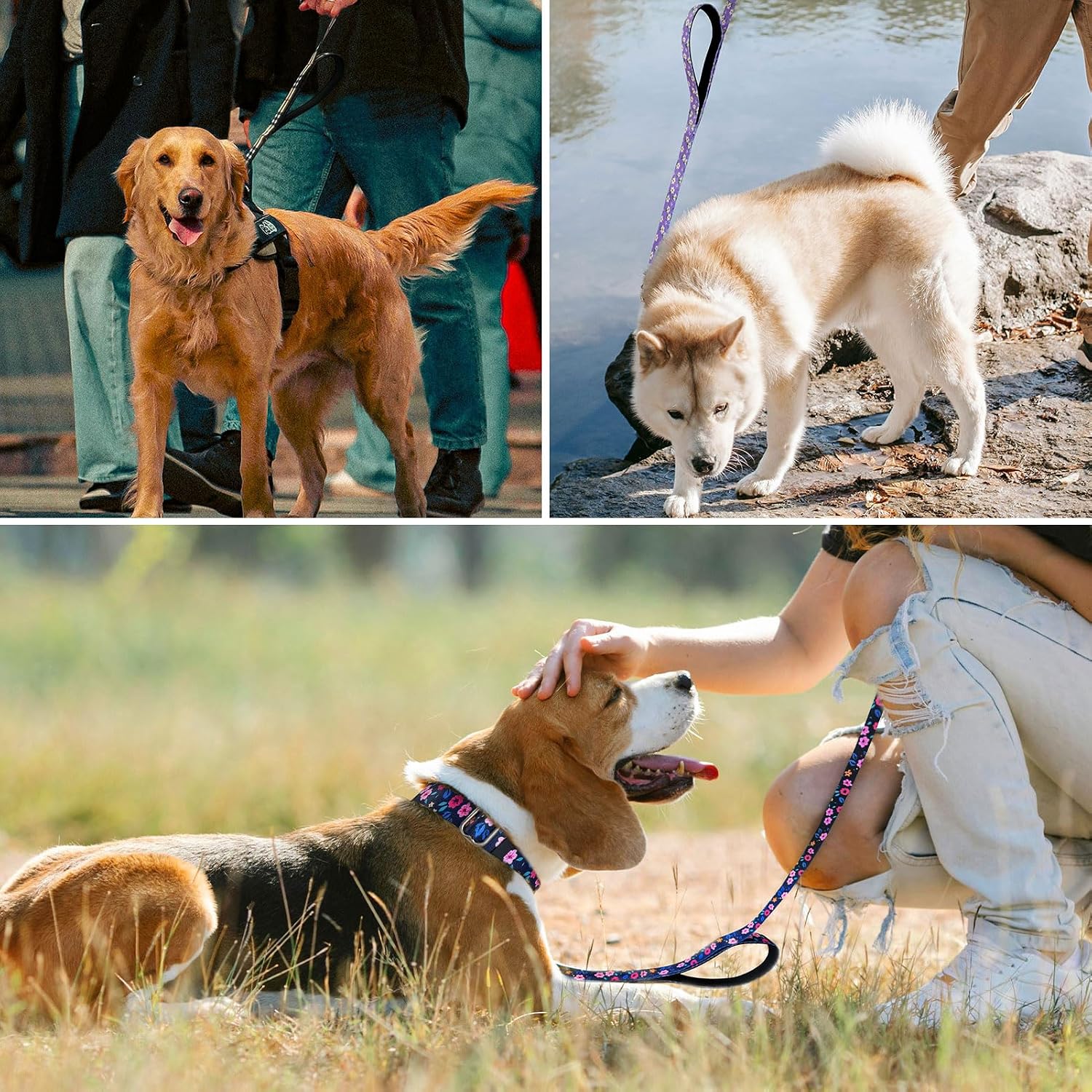 Hikiko heavy duty nylon dog leash showing durable material stitching details