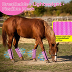Four piece set of non slip horse leggings displayed flat against a clean background