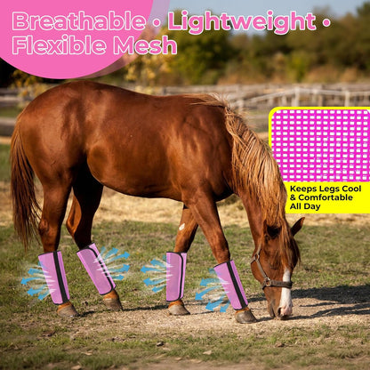 Four piece set of non slip horse leggings displayed flat against a clean background