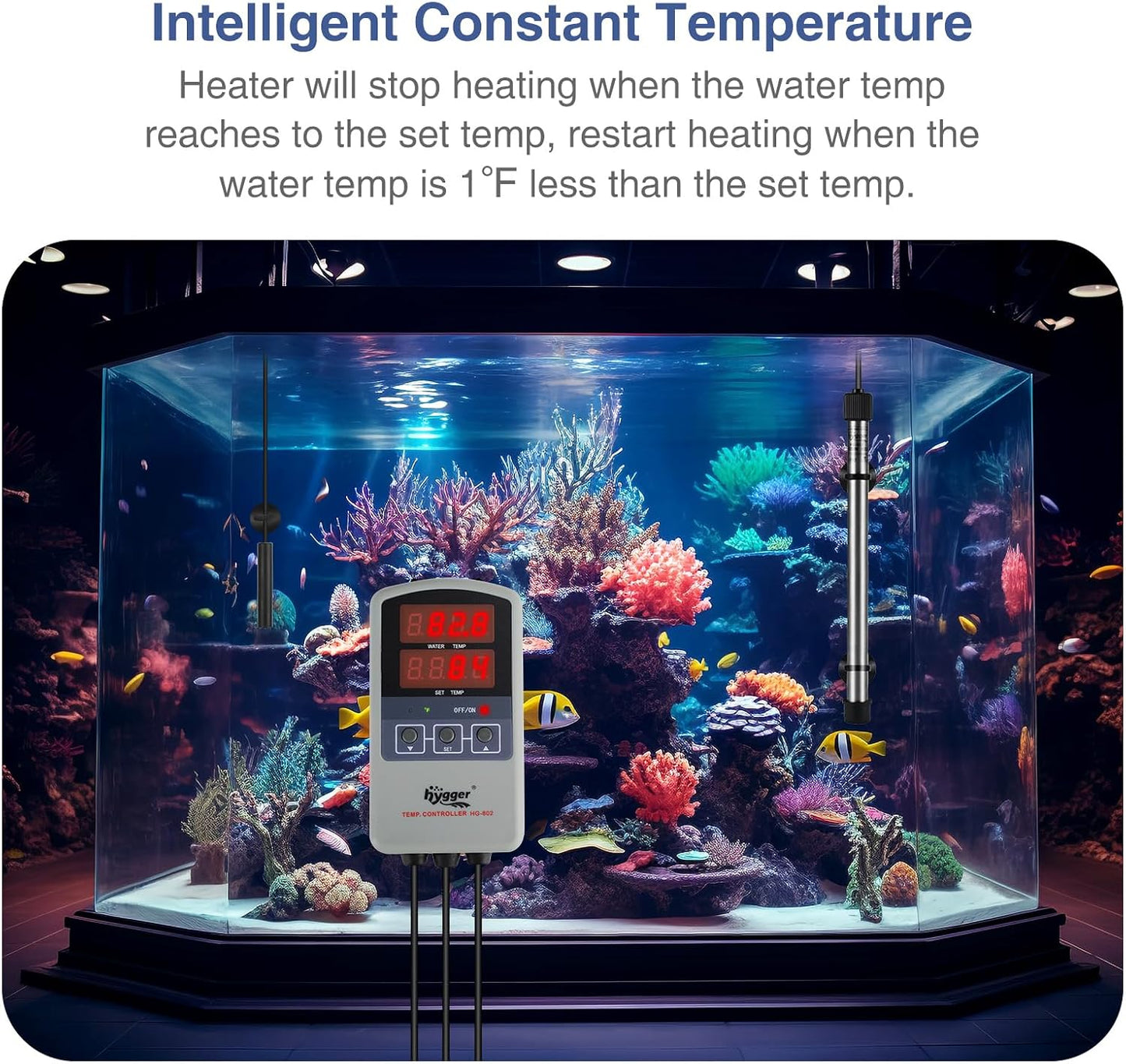 Hygger aquarium heater submerged in a fish tank