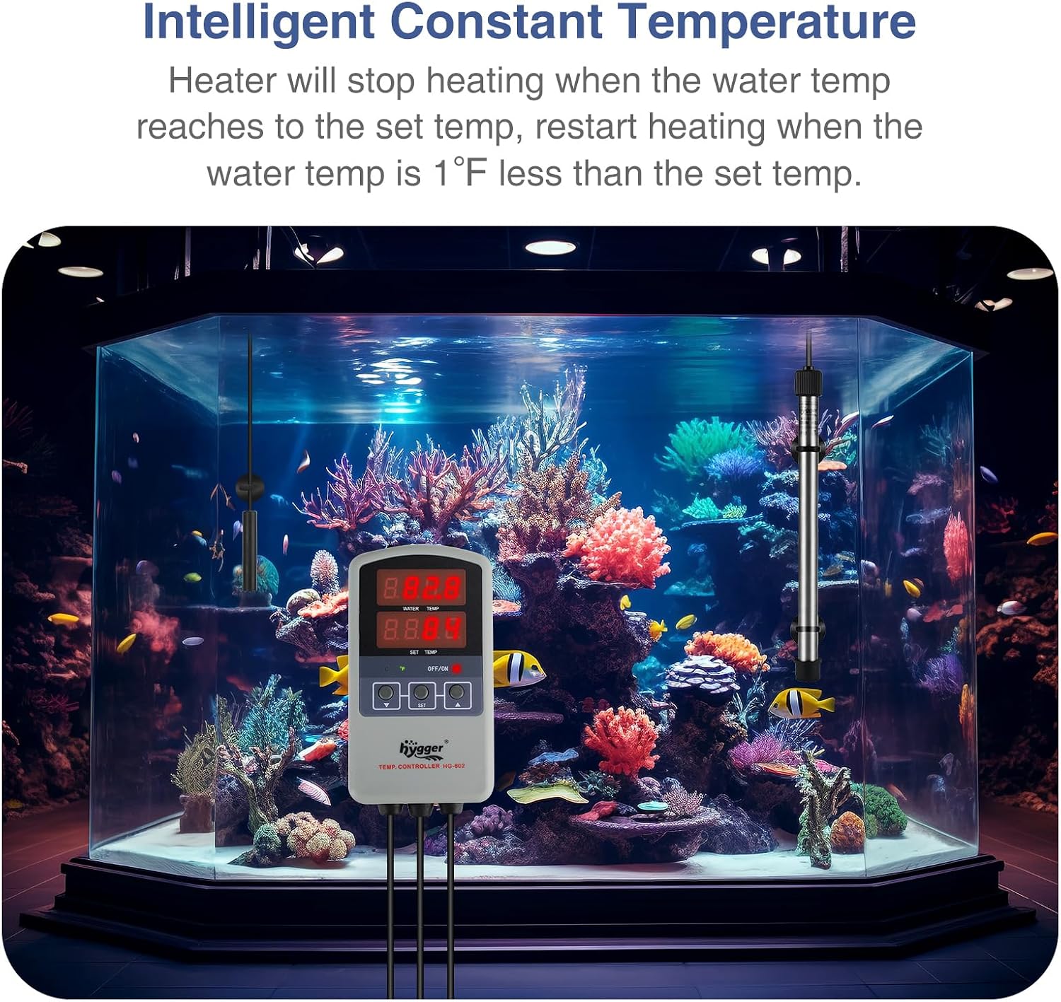 Hygger aquarium heater submerged in a fish tank