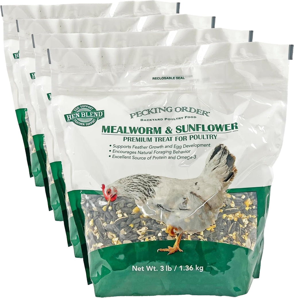 Hand feeding chickens with Pecking Order Mealworm and Sunflower Treat