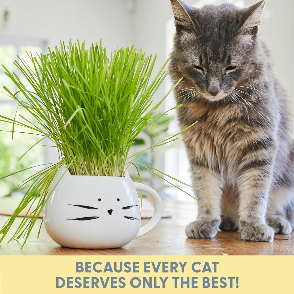 Whimsical white ceramic cat shaped mug planter resting on a living room table as pet decor.