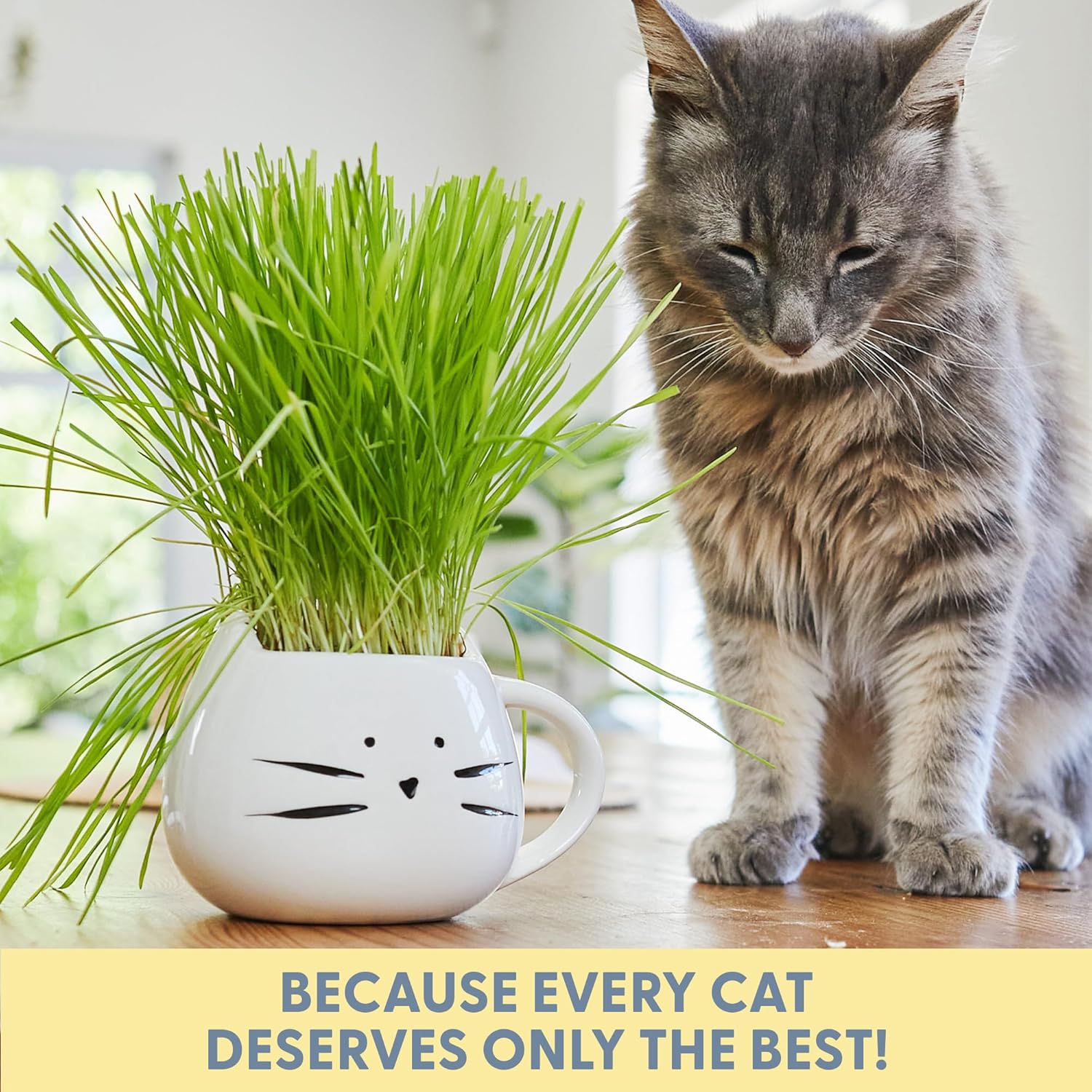 Whimsical white ceramic cat shaped mug planter resting on a living room table as pet decor.