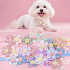 Grooming accessories for small dogs featuring vibrant spring flower charms