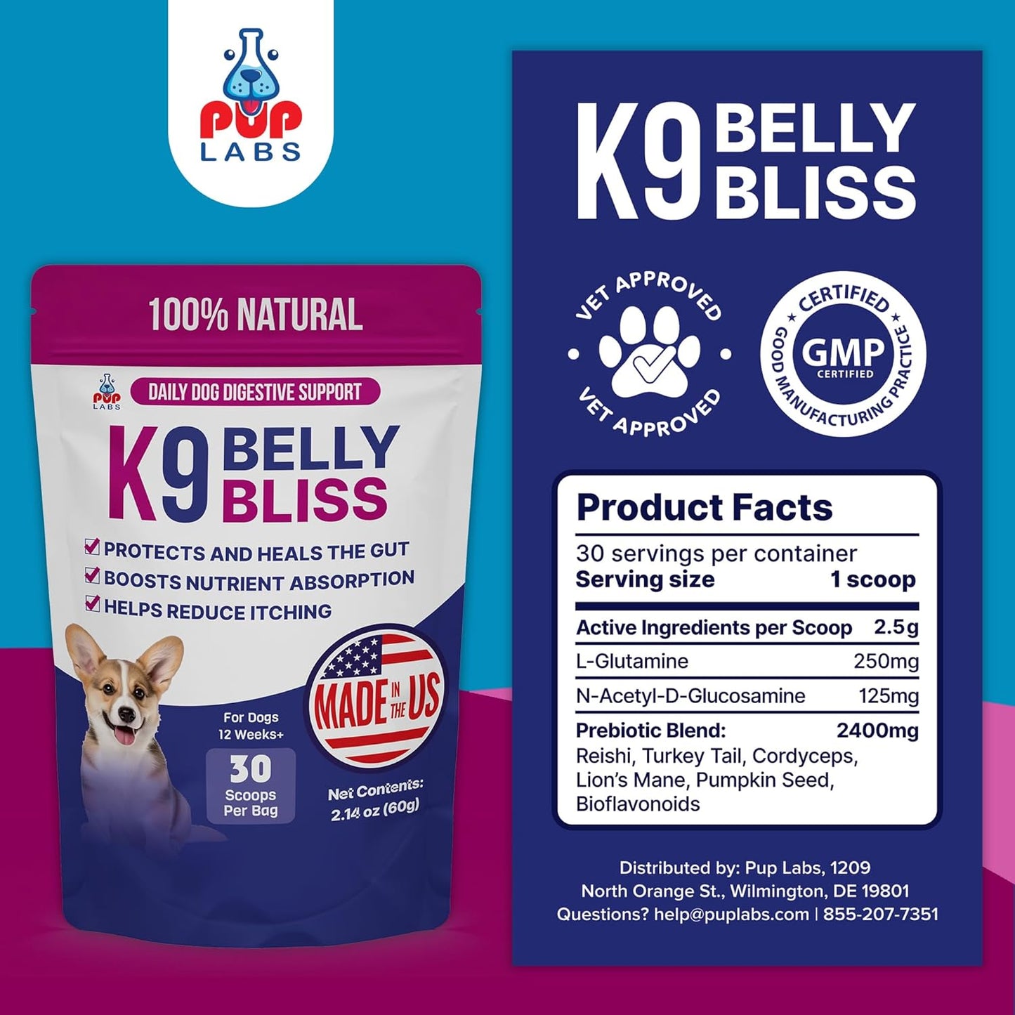 Pup Labs K9 Belly Bliss natural immunity and gut support dog powder lifestyle angle