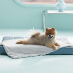 Bedsure Premium Cooling Blanket for Medium Dog - Q-MAX>0.5, Breathable Summer Washable Cold Pet Throw Blanket, Soft Durable Self Cooling Cat Mat for Hot Weather, Pearl Grey, 30x40 - Image 9