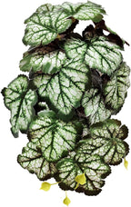 Woyrise Reptile Plants, Terrarium Hanging Plant Vines, Artificial Leaves with Suction Cup, Bearded Dragon Tank Accessories for Gecko Lizard Snake Frog Tortoise Decorations - Codiaeum Variegatum - Image 13