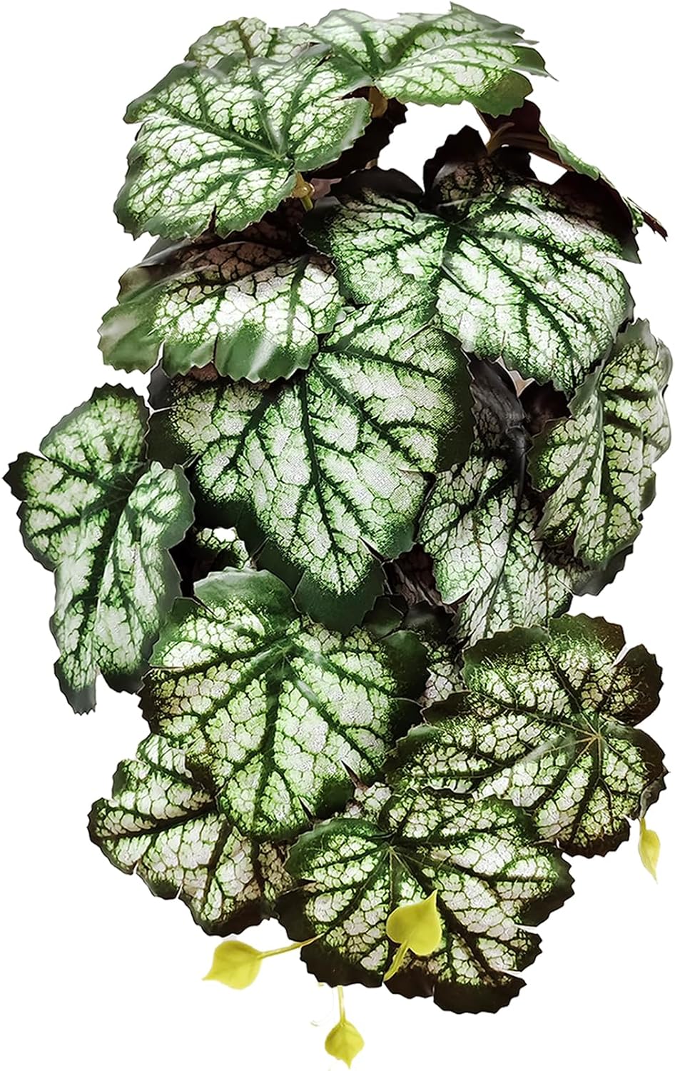 Woyrise Reptile Plants, Terrarium Hanging Plant Vines, Artificial Leaves with Suction Cup, Bearded Dragon Tank Accessories for Gecko Lizard Snake Frog Tortoise Decorations - Codiaeum Variegatum - Image 13