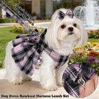 Close up of the breathable mesh lining and secure metal D ring on the pet dress