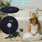 Close up texture of thick high efficiency pet litter box carbon filter