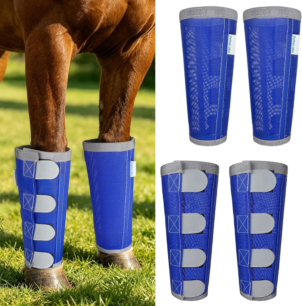 OaheLake Reflective Horse Fly Boots front view showing the four blue mesh leg wraps.
