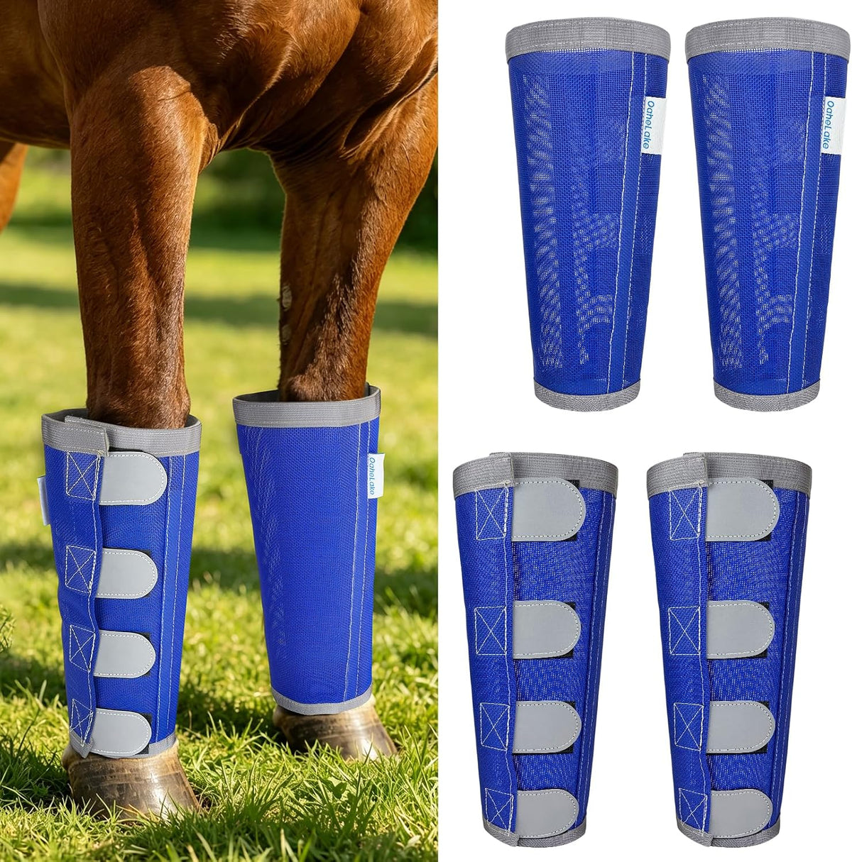 OaheLake Reflective Horse Fly Boots front view showing the four blue mesh leg wraps.
