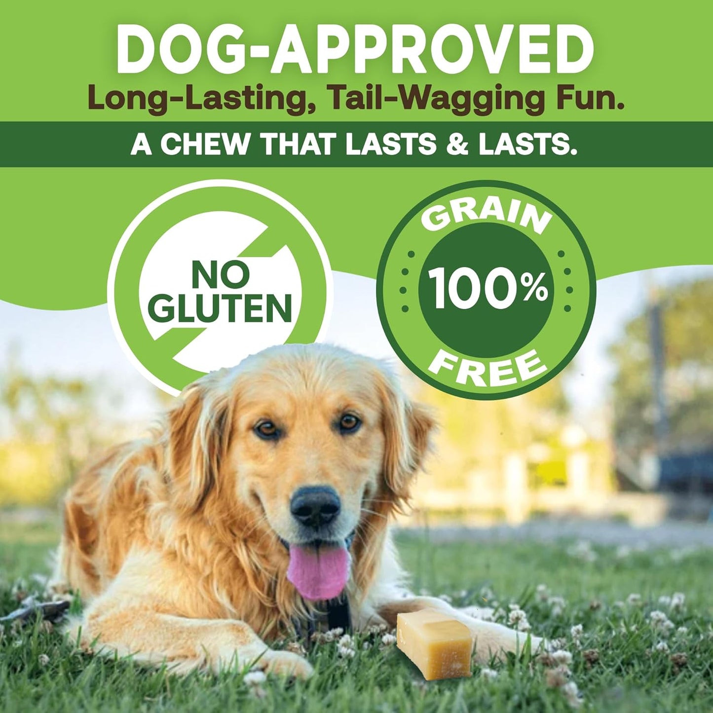 EcoKind smoked cheese long lasting dog chew sticks showing texture and thickness