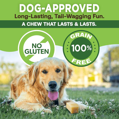 EcoKind smoked cheese long lasting dog chew sticks showing texture and thickness