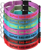 Suncliff personalized martingale dog collar front view showing custom name embroidery