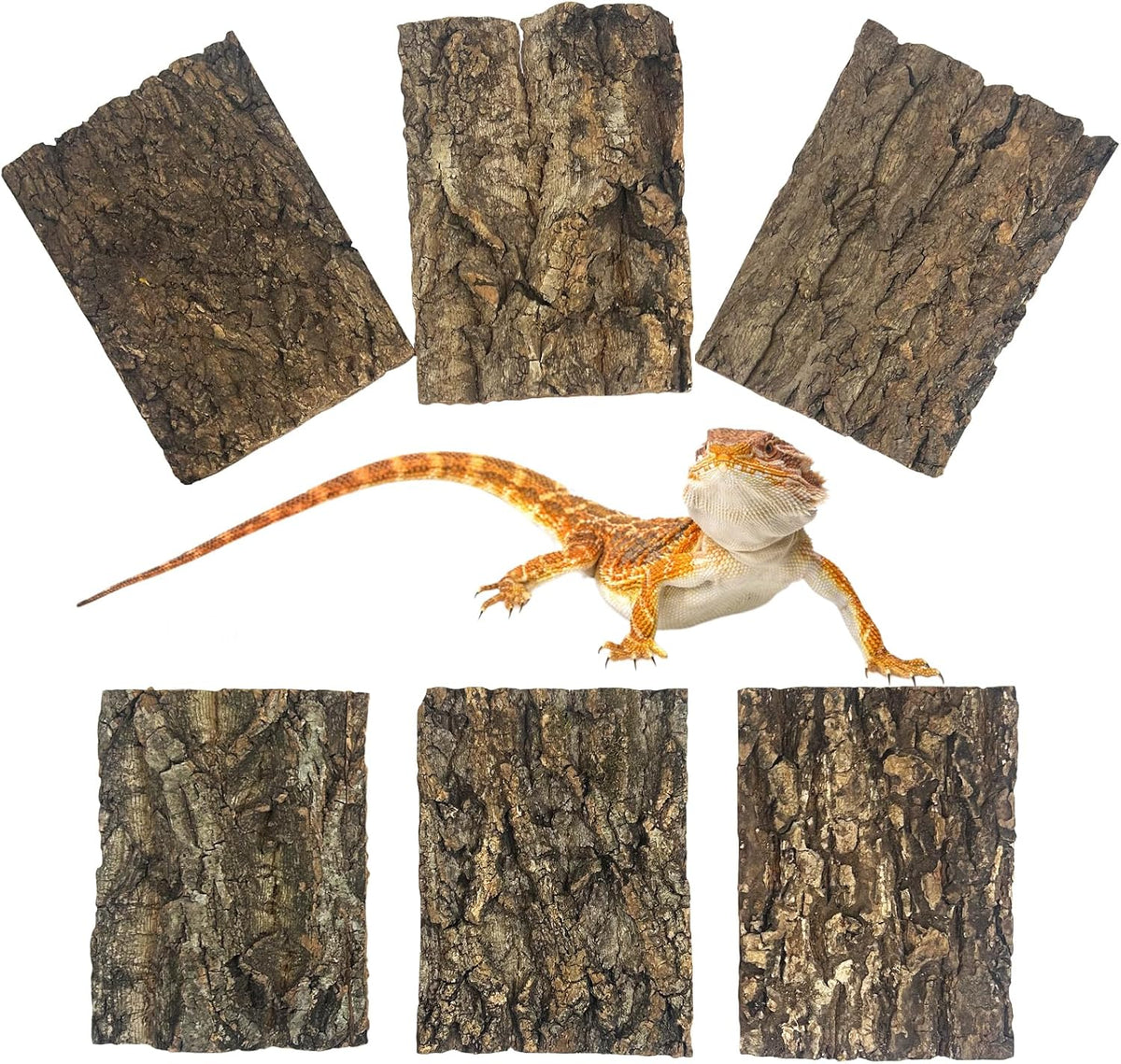 Natural Reptile Cork Bark Bedding Bearded Dragon Climbing Wall Mat 6PCS Cork Wood for Terrarium Background Decor Crested Gecko Tank Accessories for Lizard Snake Chameleon Tortoise Frog - Image 9
