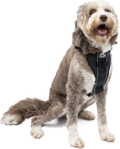 Kurgo Tru-Fit Smart Dog Walking Harness - Comfortable Fit - Adjustable Harness - Reflective Pet Wear - Quick Strap Release - Daily Walk Accessory - Includes Seat Belt Loop - Black - Large - Image 11