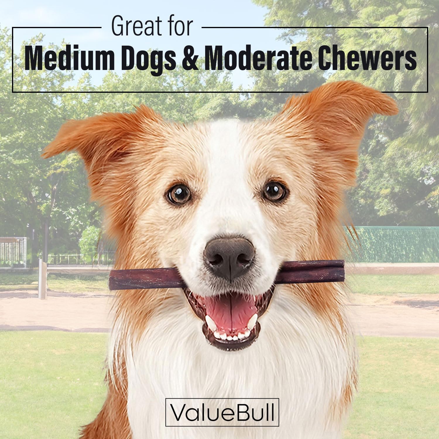 ValueBull natural rawhide free dog treats 6 inch medium chews close up texture