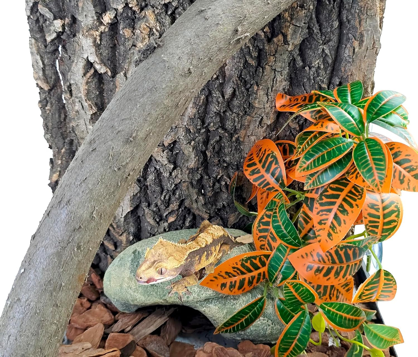 Bearded dragon tank decor hanging plastic vines