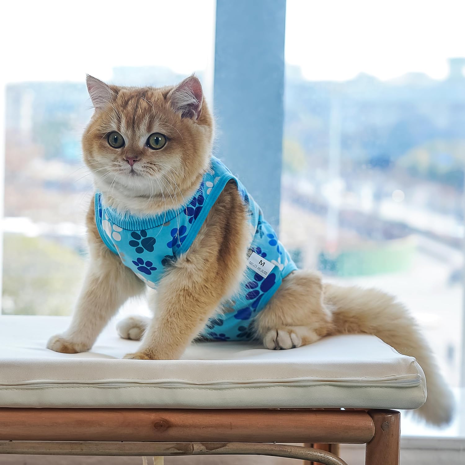 Close-up detail of the secure closures on the COZYDOODZ blue paw print surgery shirt.