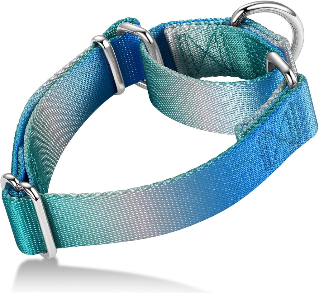 Martingale Dog Collar Colorful Gradient Fashionable - Anti-Escape Soft Durable Pets Collar for Walking Training Outdoor Daily Use -Medium, Purple Green - Image 12