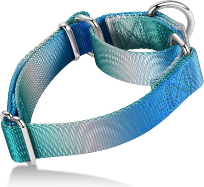 Martingale Dog Collar Colorful Gradient Fashionable - Anti-Escape Soft Durable Pets Collar for Walking Training Outdoor Daily Use -Medium, Purple Green - Image 12