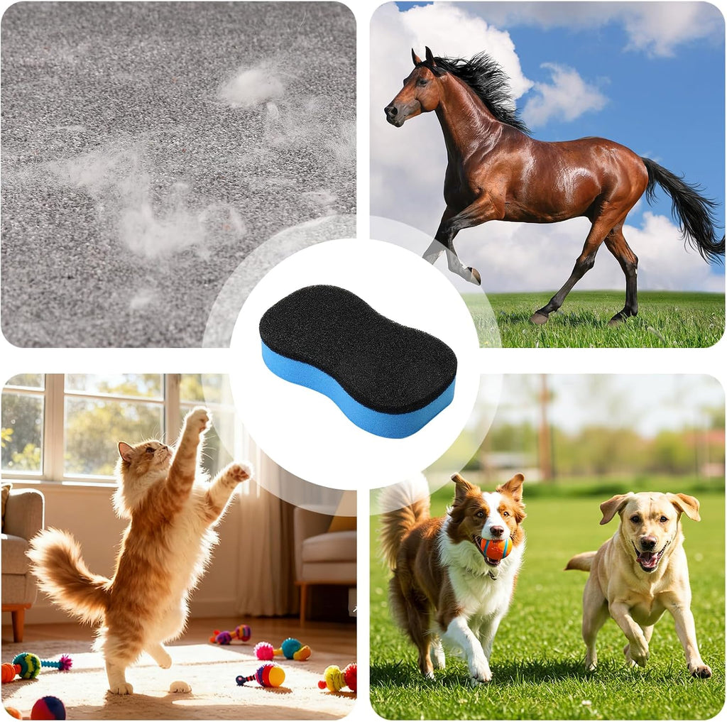 Pliable equine bathing sponge being used for sweat marks.