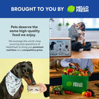 The Pets Table turkey casserole fresh dog food