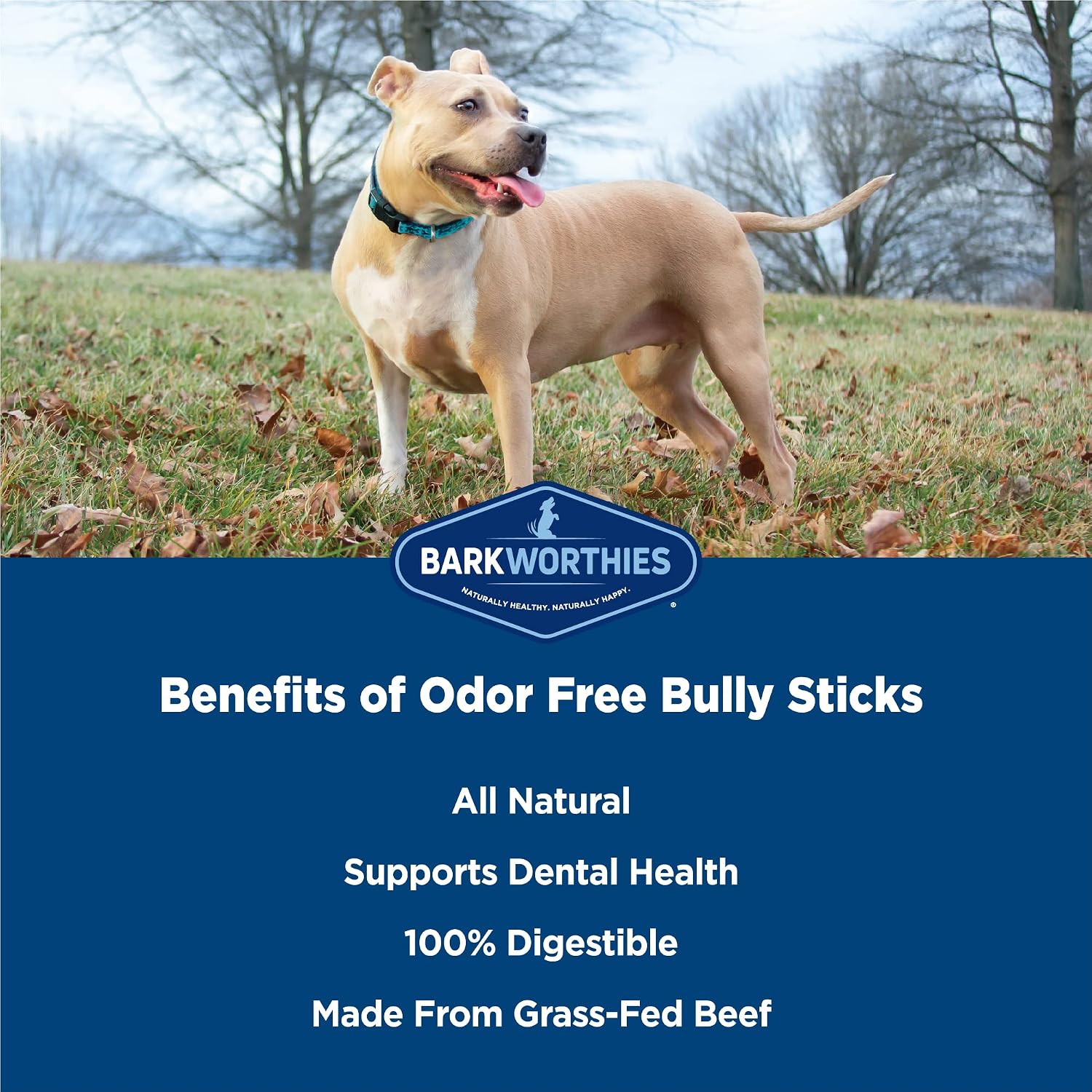Barkworthies highly digestible rawhide alternative dog chews product back label details