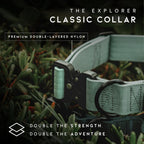 Adjustable nylon dog collar showing the leash attachment D-ring