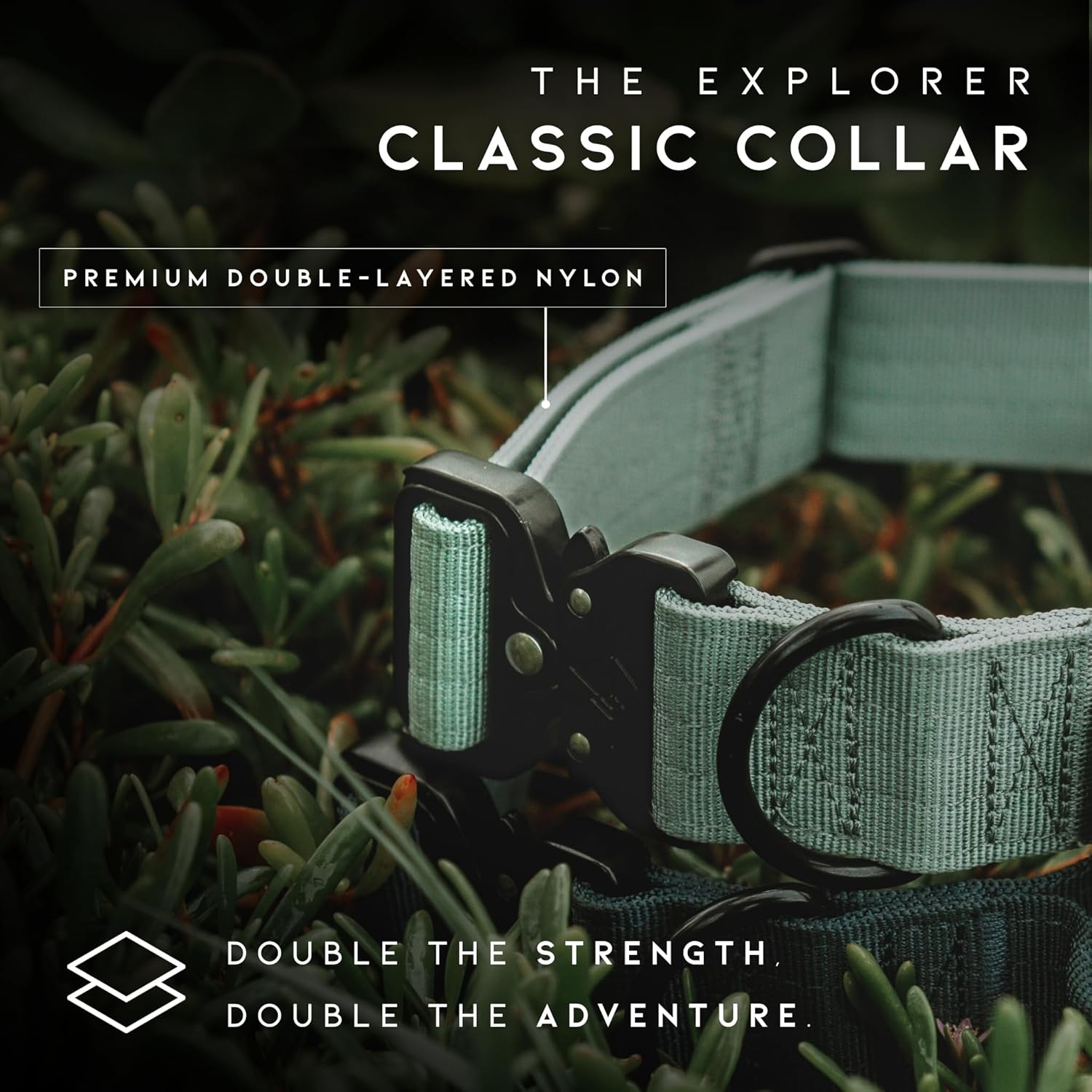 Adjustable nylon dog collar showing the leash attachment D-ring