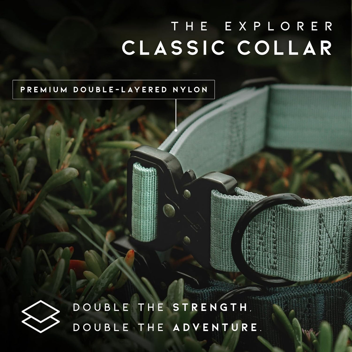Adjustable nylon dog collar showing the leash attachment D-ring
