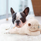 Components of Pet Prime dog anxiety toy including heart and warmer
