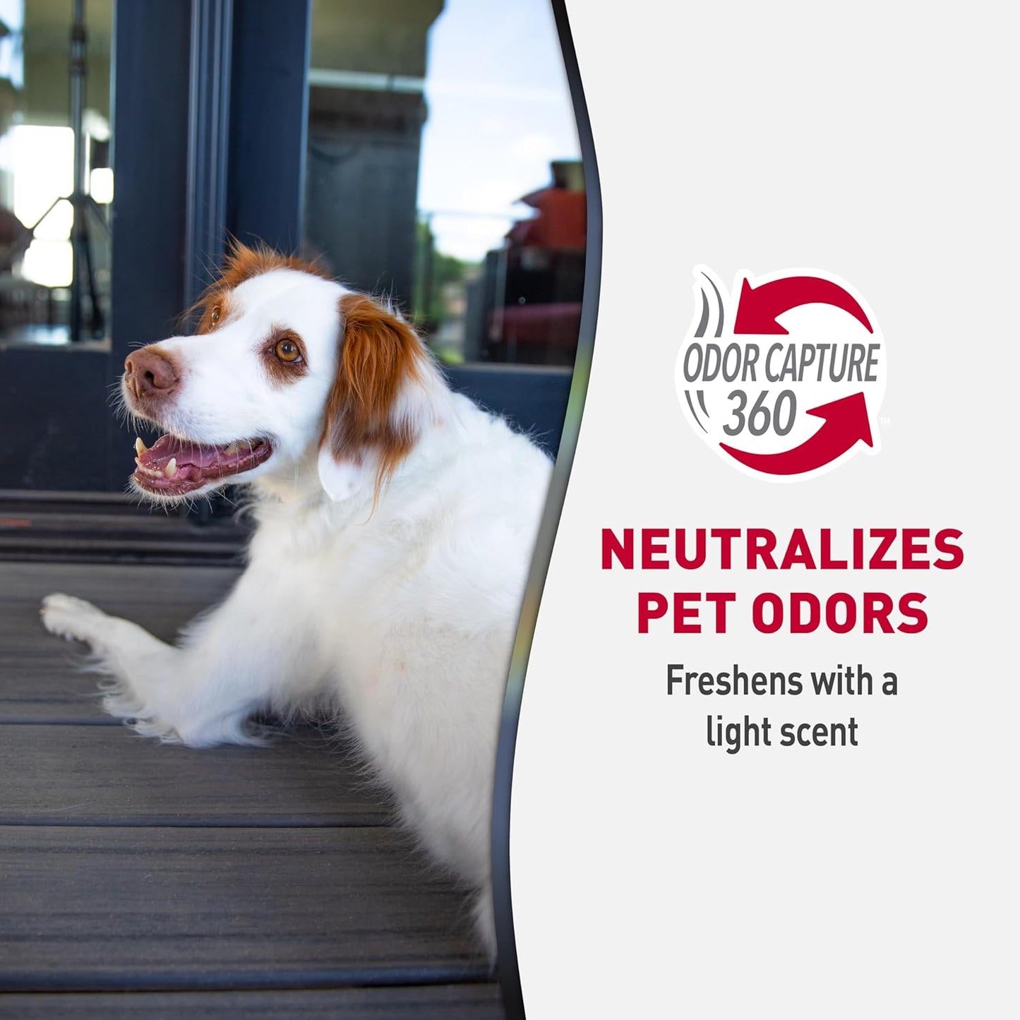 Authentic pet mess stain remover wipes for Indian pet owners