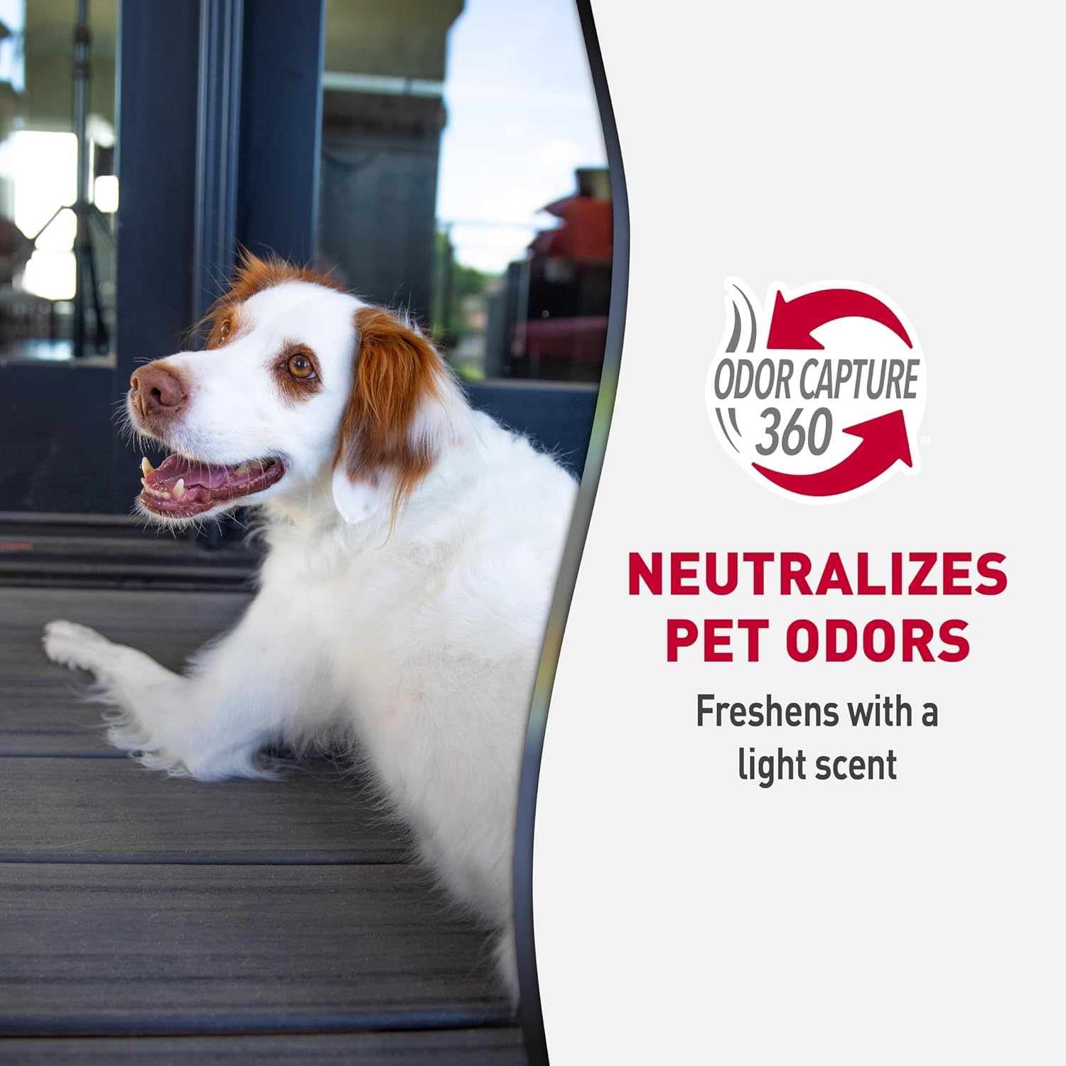 Authentic pet mess stain remover wipes for Indian pet owners