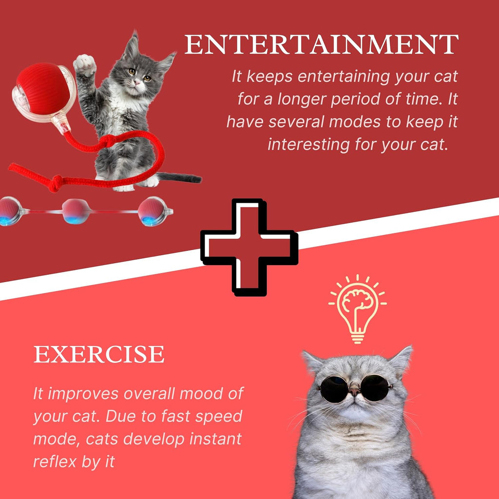 Speedy Tail 2.0 red textured silicone ball with teaser tail
